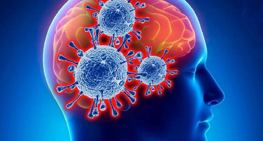 Короновирус COVID-19 отбирает у головного мозга до 20 лет жизни