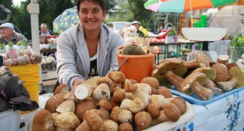 Свежие грибы стоят в три раза дороже мяса