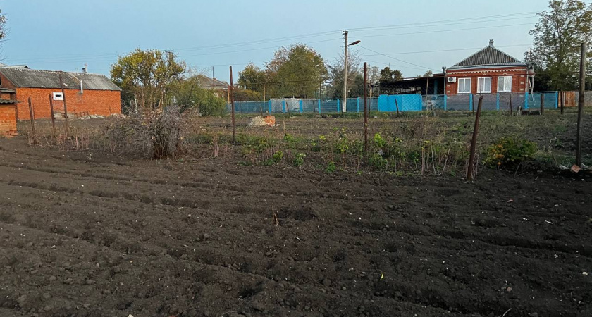 Укорениться сможет даже палка: вот в какой популярный овощ нужно воткнуть черенок — совет агронома 